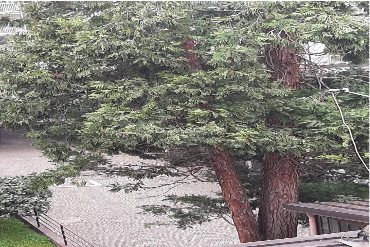 밀라노 Il Rifugio Sui Navigli Con Garage Privato Gratuito Aria Condizionata & Wi-Fi 아파트 외부 사진